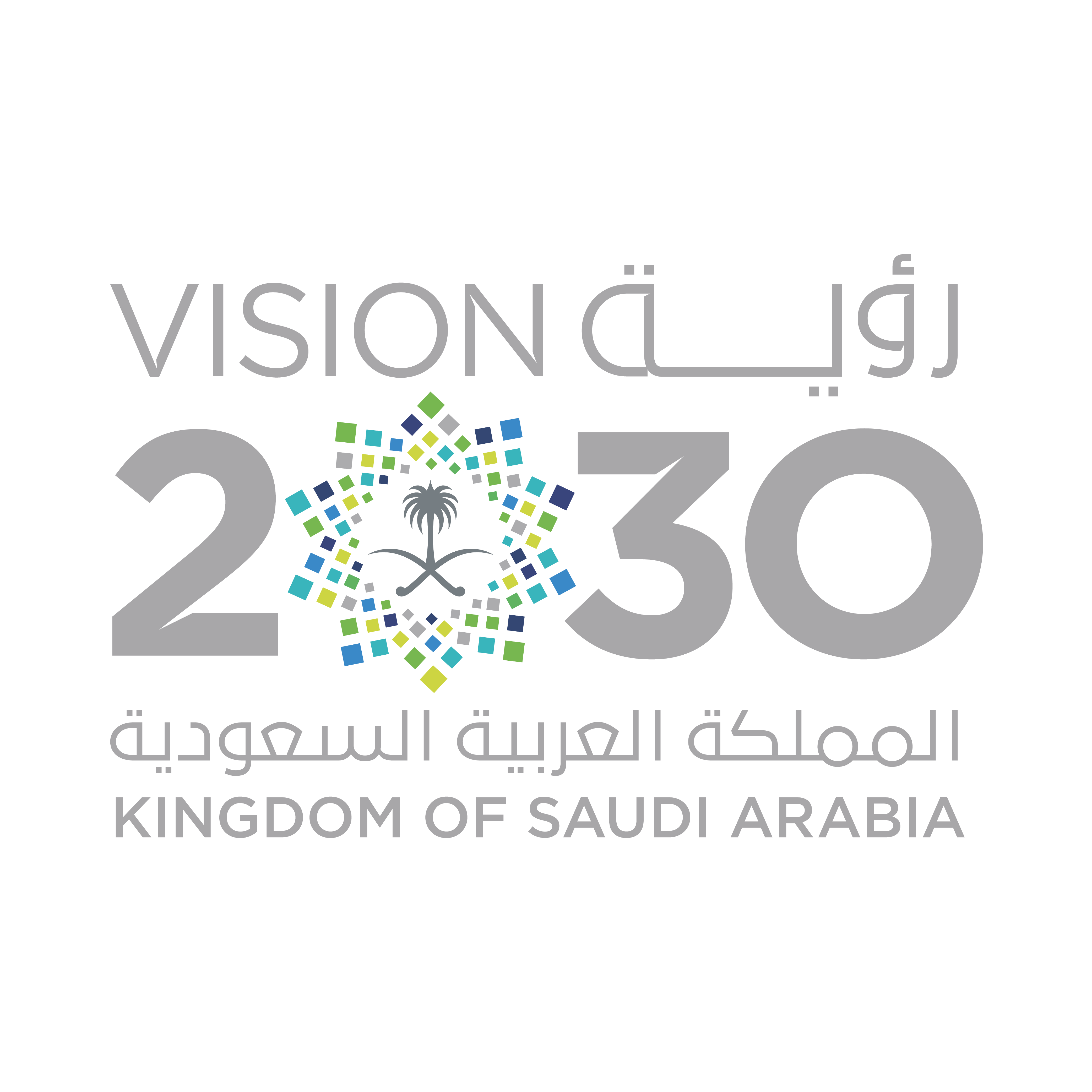 Vision 2030 Logo